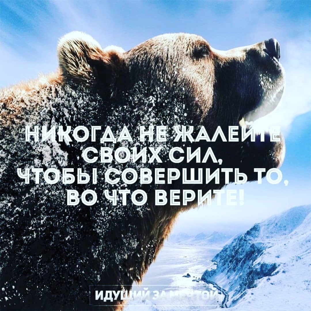 vyacheslav_kobets в LOOKY. #Школалидерства,#Школаменеджера,#Развитие,#Упорство,#Настойчивость,#Бизнес,#ЯМенеджер,#ЖизньТакая,#Багира,#ЛучшаяКомпания,#ДеньгиДелаютДеньги,#Успех,#здоровожитьздорово. #Школалидерства #Шко...
