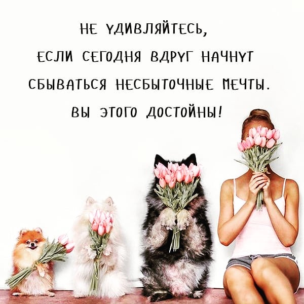 katarinka_kiri in LOOKY. . null