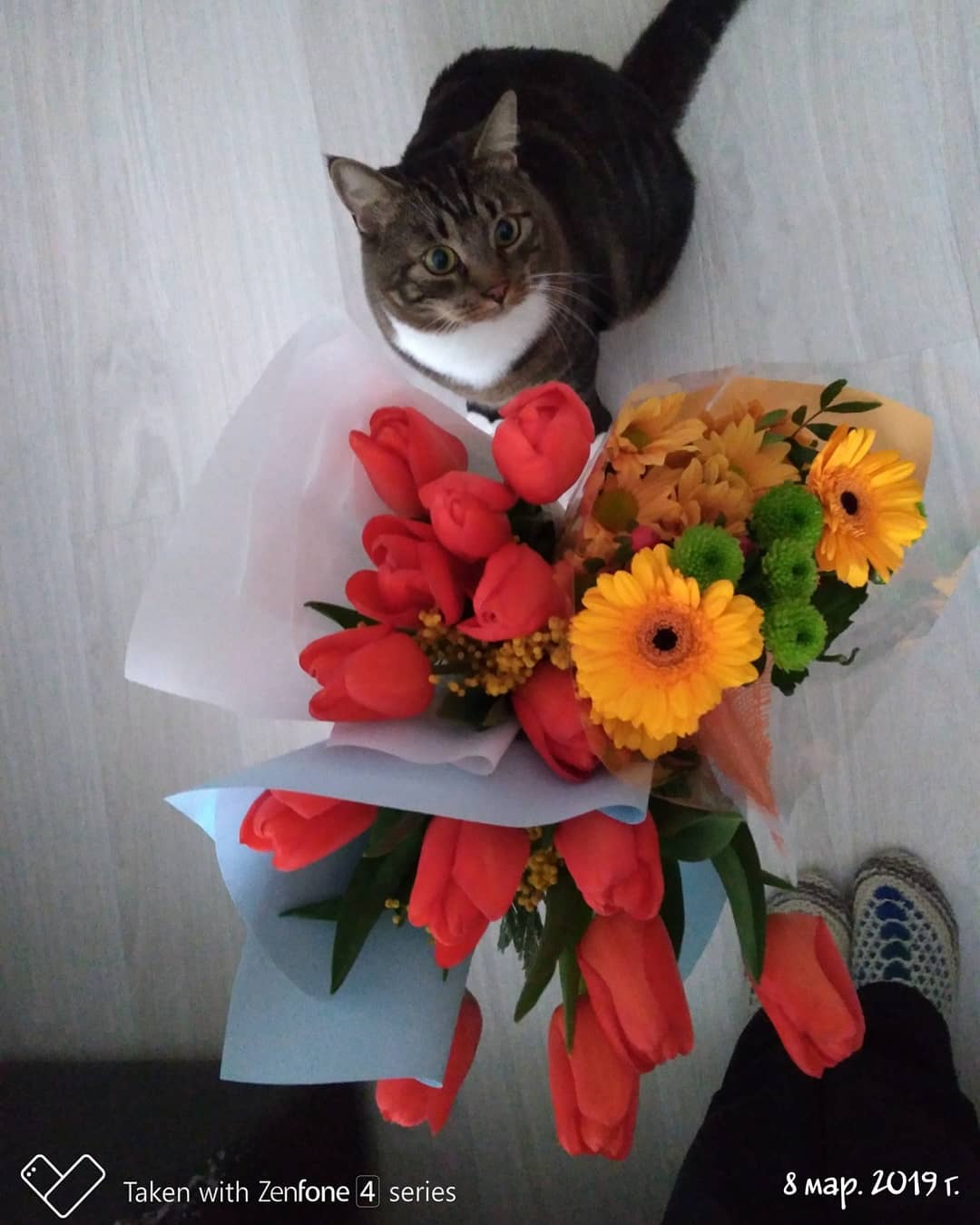 23nastya1996 в LOOKY. . С 8 - ым марта!))) �...