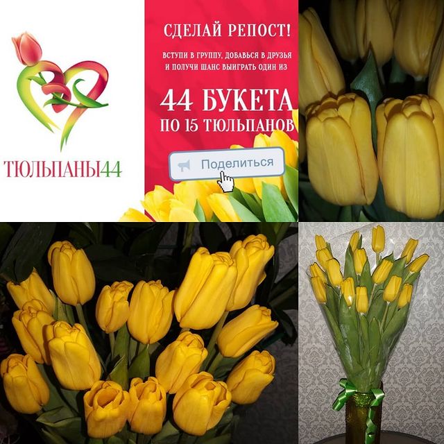 irinka44rus в LOOKY. . Спасибо @rozi44kostr...