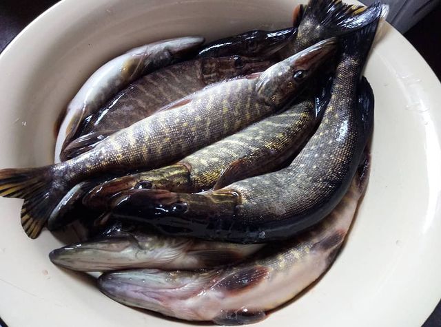 fishing.ideal в LOOKY. . null