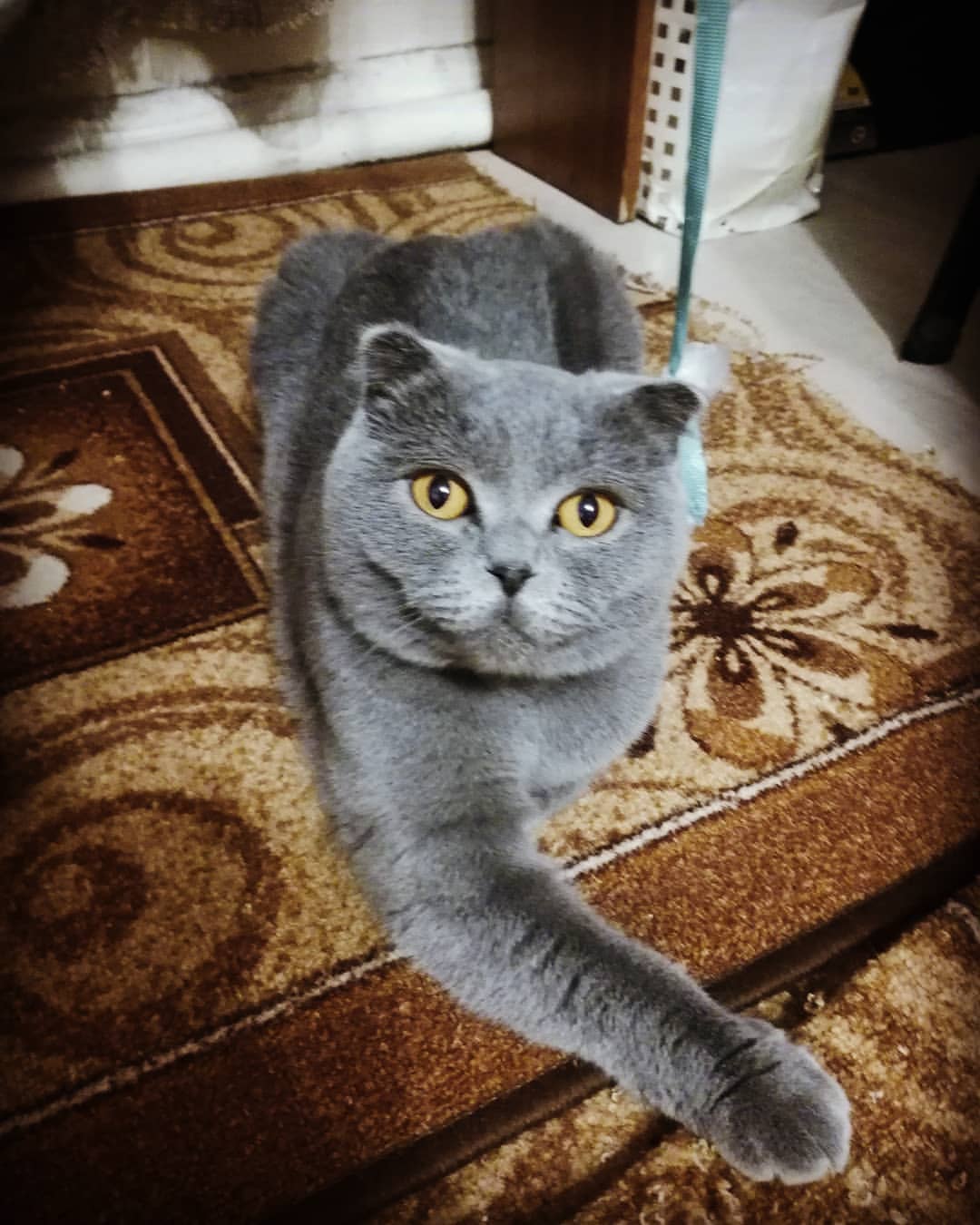 ksesha1804 в LOOKY — 🐱😍🤗
@polina_dimina29_ специально для тебя 💗