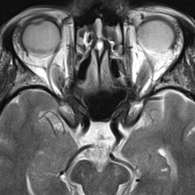 russianradiology в LOOKY — фото 4