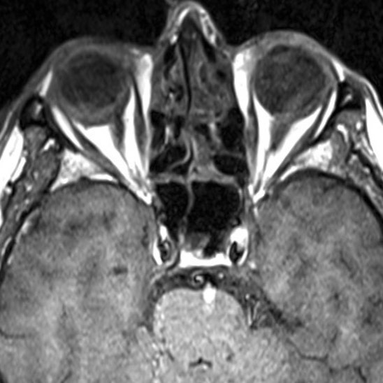 russianradiology в LOOKY — фото 2