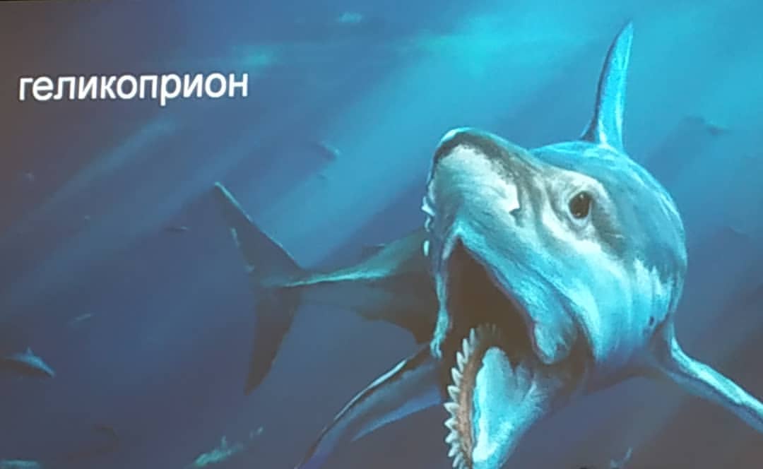 den_de_kraft in LOOKY. . Парень из Геленджика...