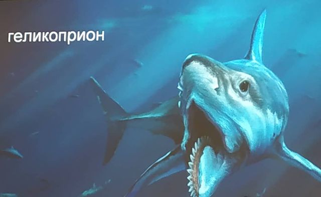 den_de_kraft в LOOKY. . Парень из Геленджика...