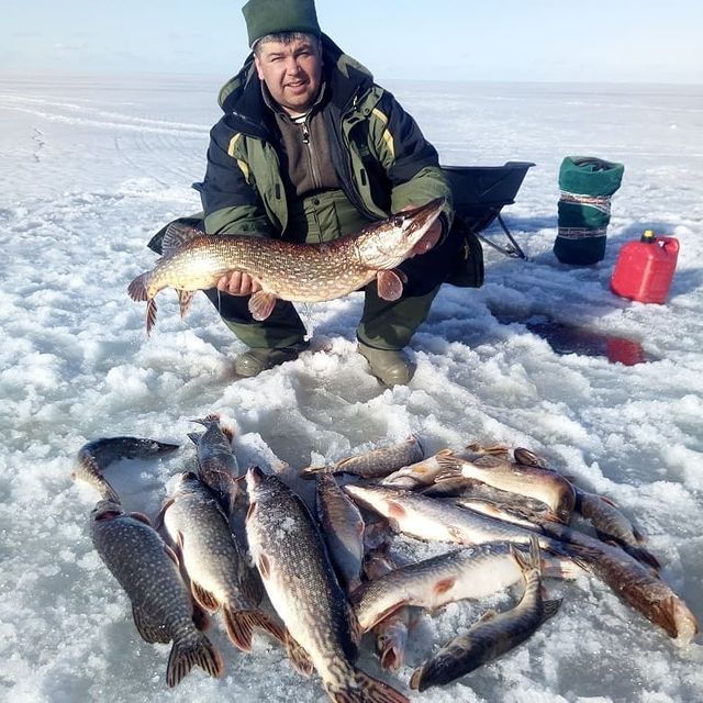 fishing.ideal в LOOKY. #рыбалка. #рыбалка