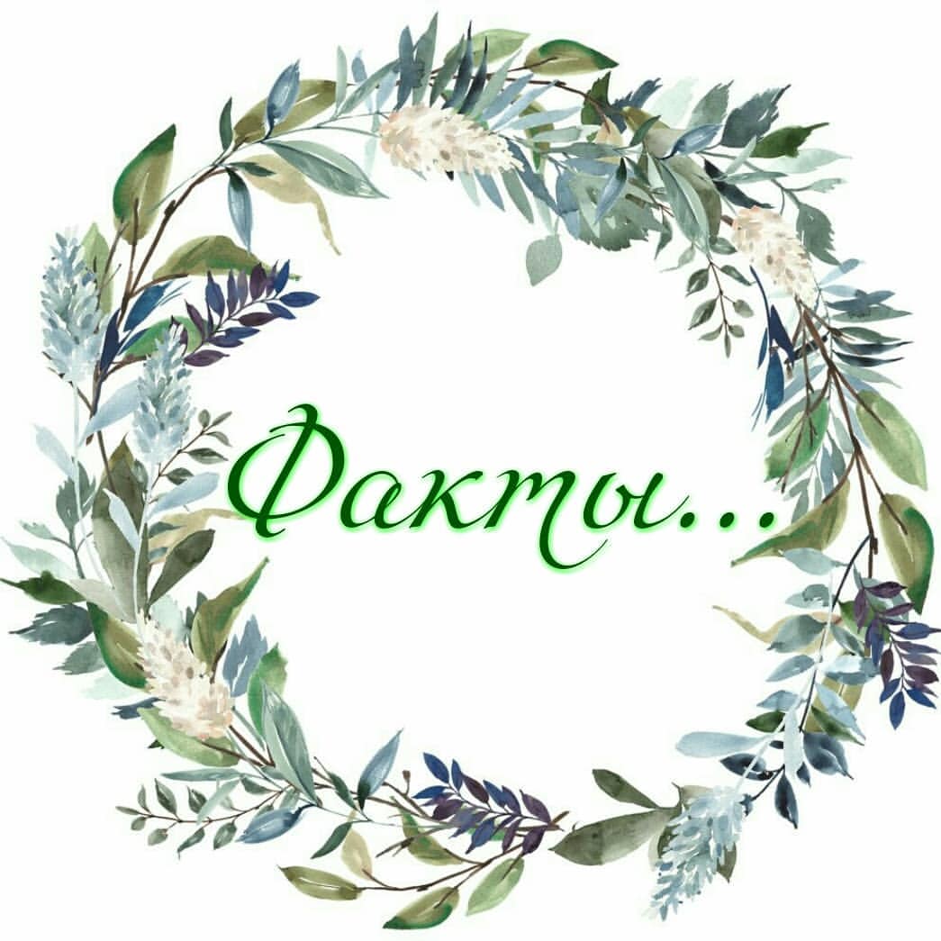 komfort_studia в LOOKY — Девочки,  привет! 👋😄 Сегодня хочу вам рассказать несколько