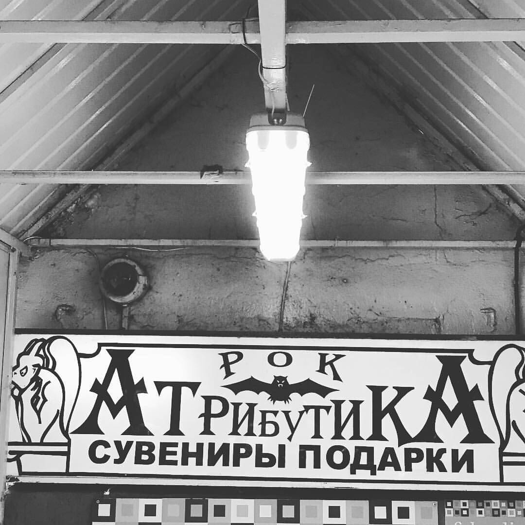 fedechkina__olga.leon в LOOKY — фото 1