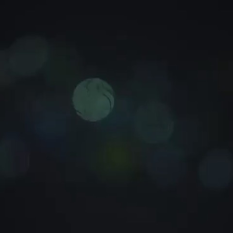 gipsophyla in LOOKY. . Шерегеш- открыт для ...