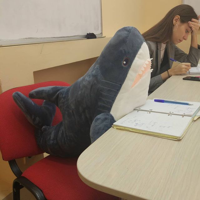 lapta000 в LOOKY. #времяучиться,#сдамЕГЭ. Даже акула зубрит , ...