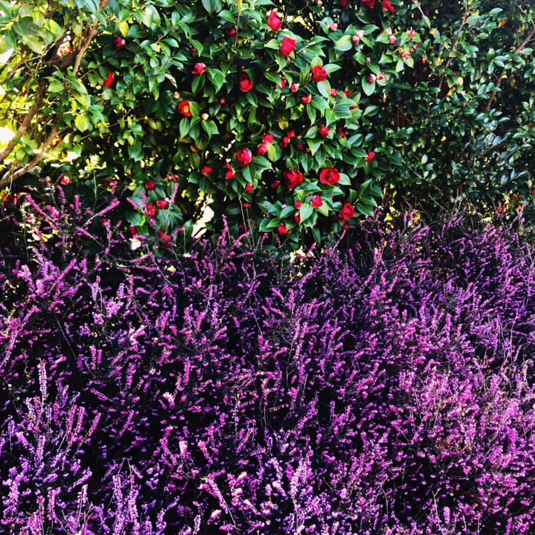 buyanovamaria в LOOKY — фото 2