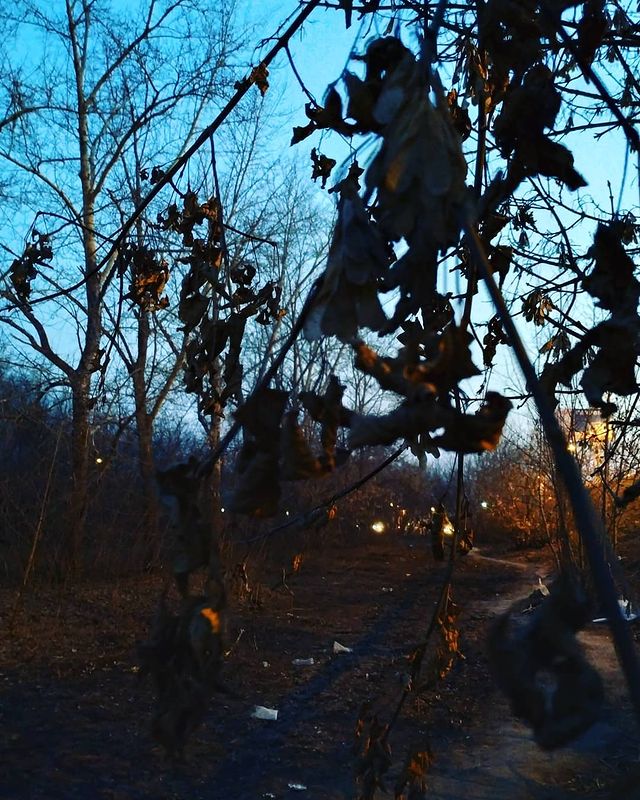 angie_vays в LOOKY. . Говорят, скоро опять...