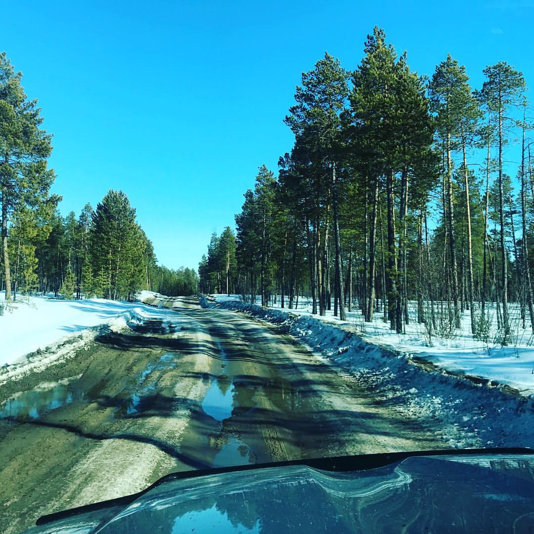 sardanadil в LOOKY — Красотаа😍🌞🌲