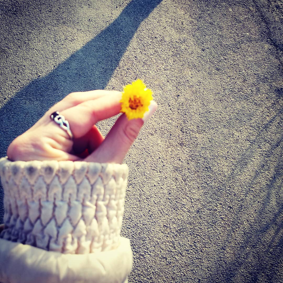 any_ki_d в LOOKY. . Лето, мы тебя ждём ☀...