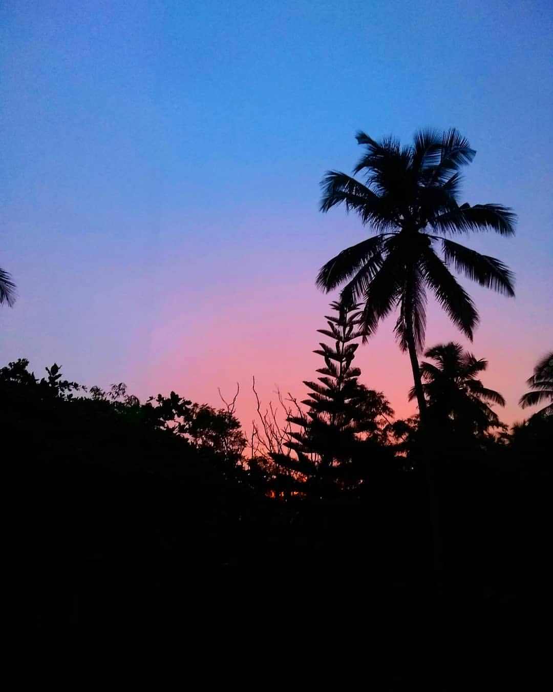 call2alexx в LOOKY — #asia #srilanka #hikkaduwa #sunset #travel #tropical #palm #