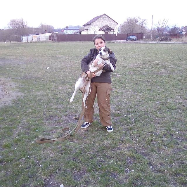 kotopes2001 в LOOKY. . null