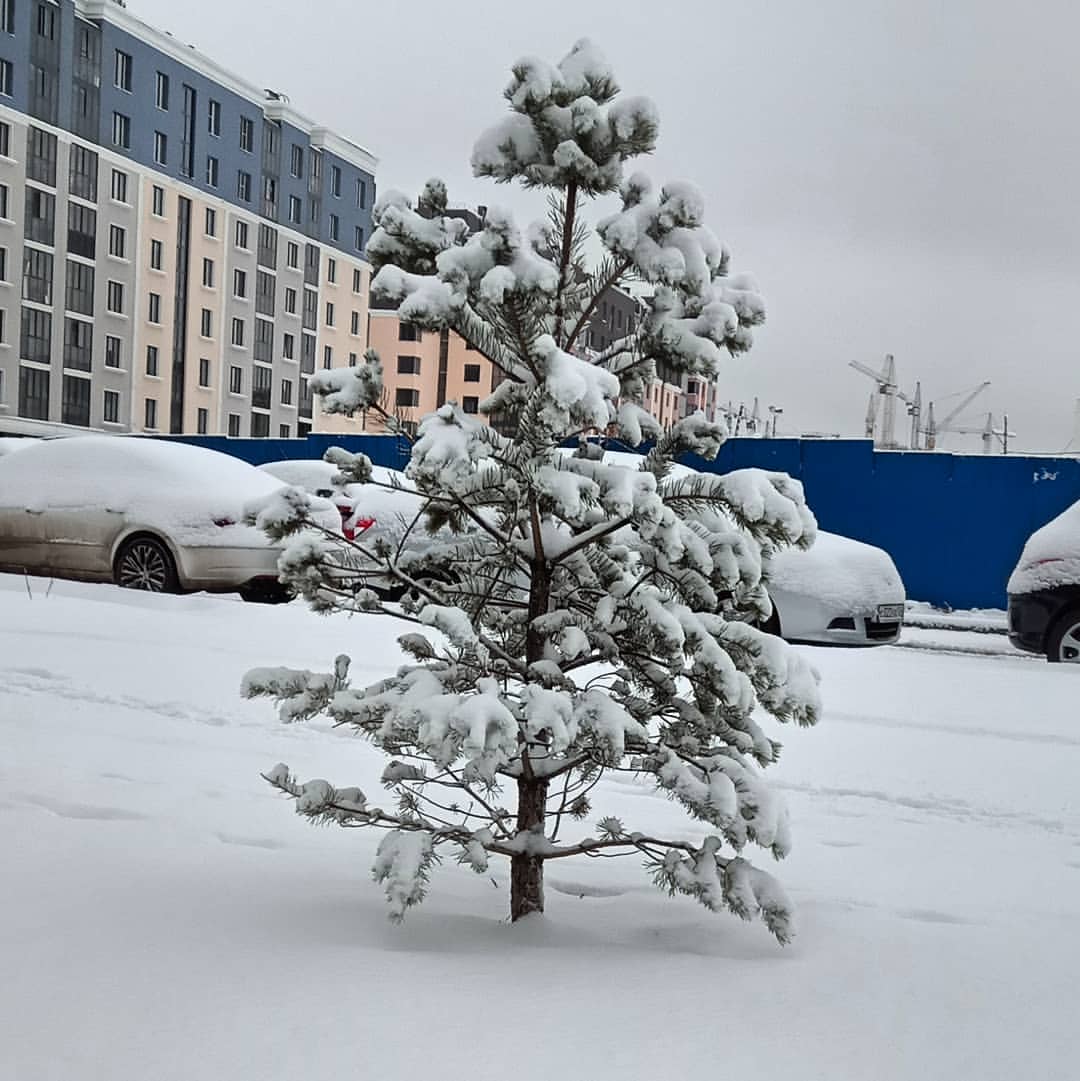 allmex в LOOKY — #29.04.2019