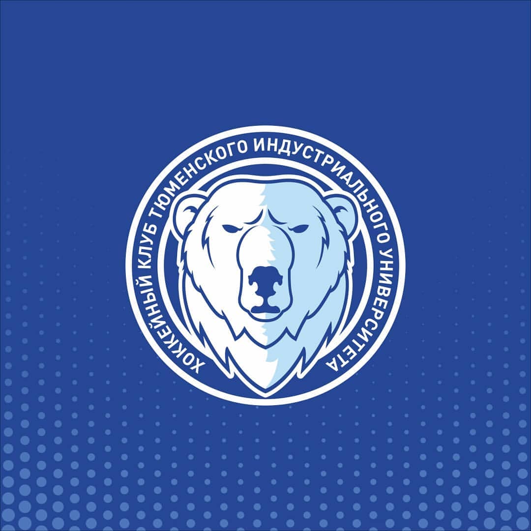 teamlogodesign в LOOKY — фото 1