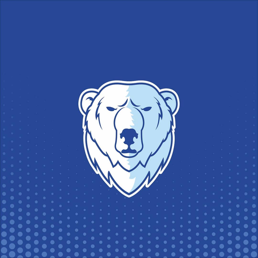 teamlogodesign в LOOKY — фото 2