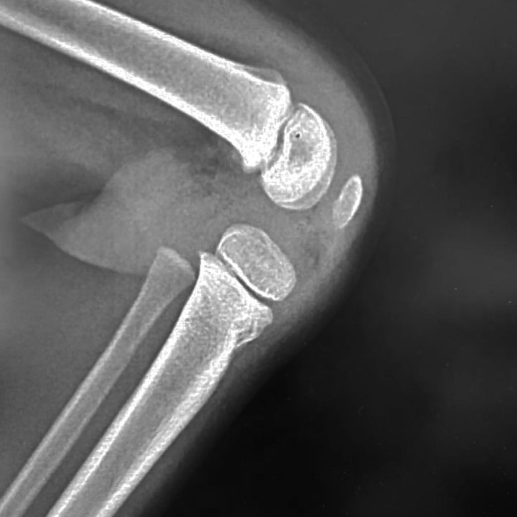 russianradiology в LOOKY — фото 2