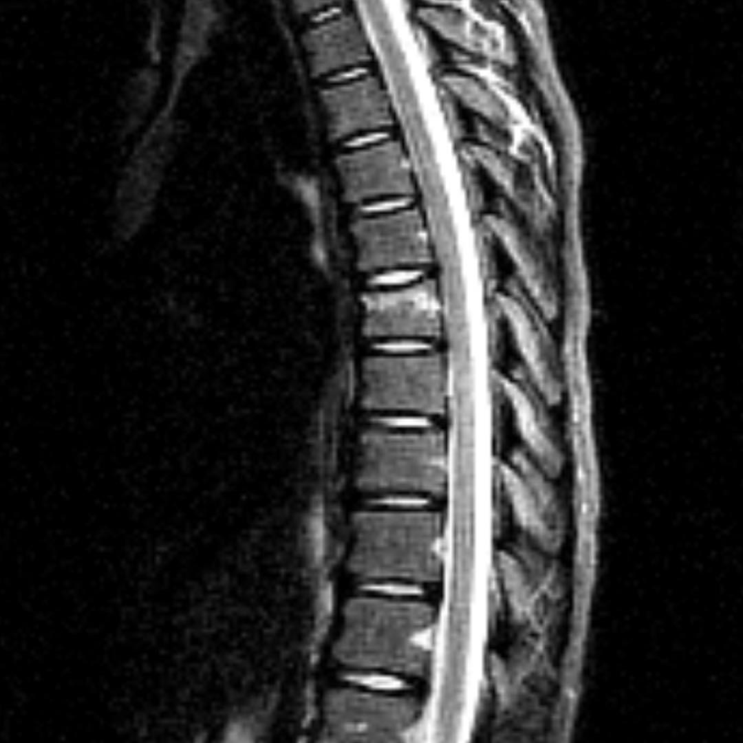 russianradiology в LOOKY — фото 4