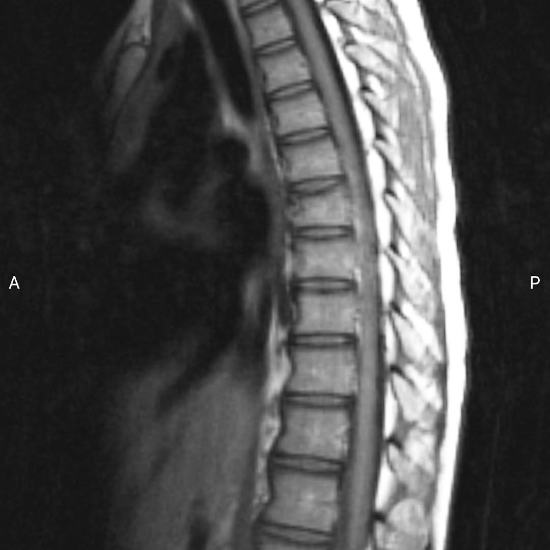 russianradiology в LOOKY — фото 3