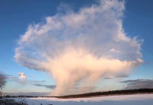 mariaegorrova в LOOKY. . Mushroom be like ⛅️