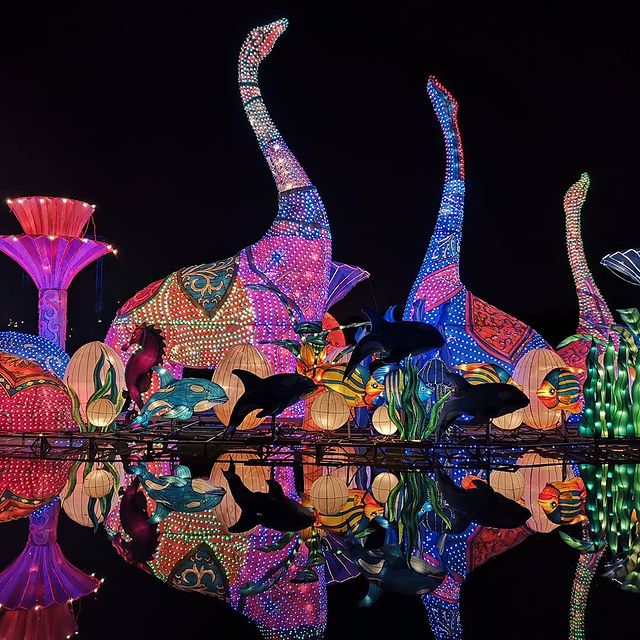 pashaslm в LOOKY. #dubaigardenglow,#dubai,#uae. Dubai garden glow
#d...