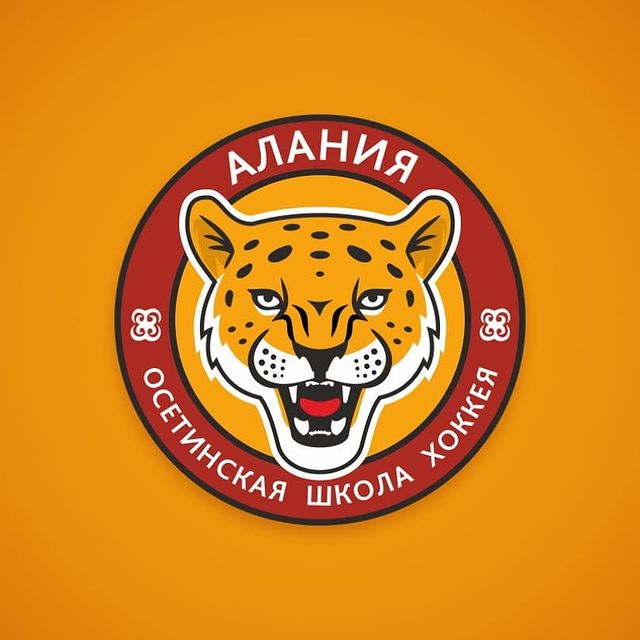 teamlogodesign в LOOKY. #hockey,#sportlogo,#design,#хоккей,#логотип. Концепт логотипа и ф...