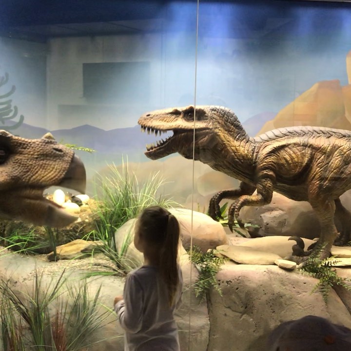 viktoriya.sivochenko в LOOKY. #дарвиновскиймузей🦖. #дарвиновскиймузей🦖