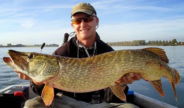 fishing.ideal в LOOKY. #рыбалка🎣,#спининг,#рыболов,#fishing,#fishing🐟,#foto,#rtgtv,#трофей,#щука. #рыбалка🎣 
#спининг...
