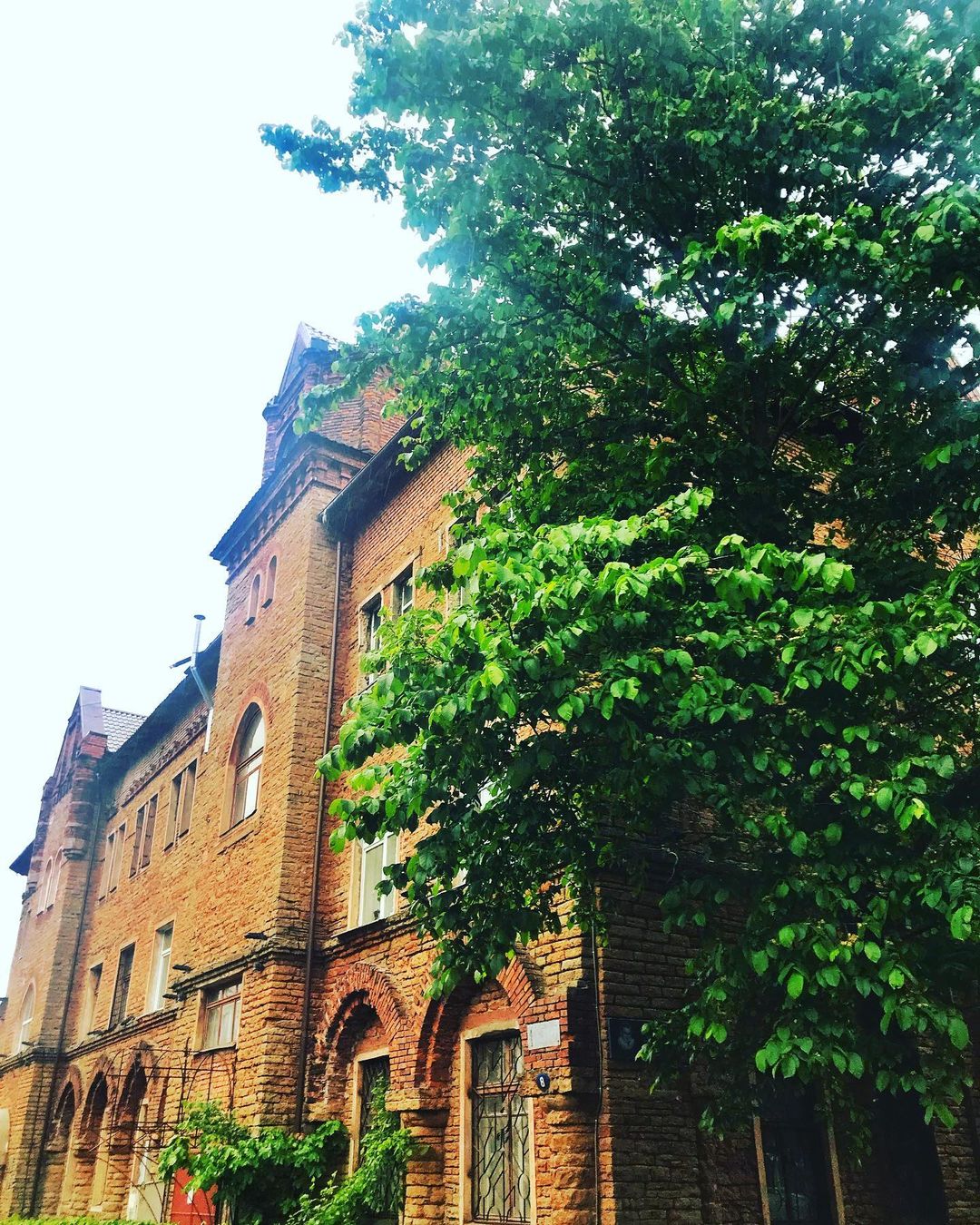 merkovsergey в LOOKY — #ратуша #кингисепп #arhitecture #city #streetphotography #ki