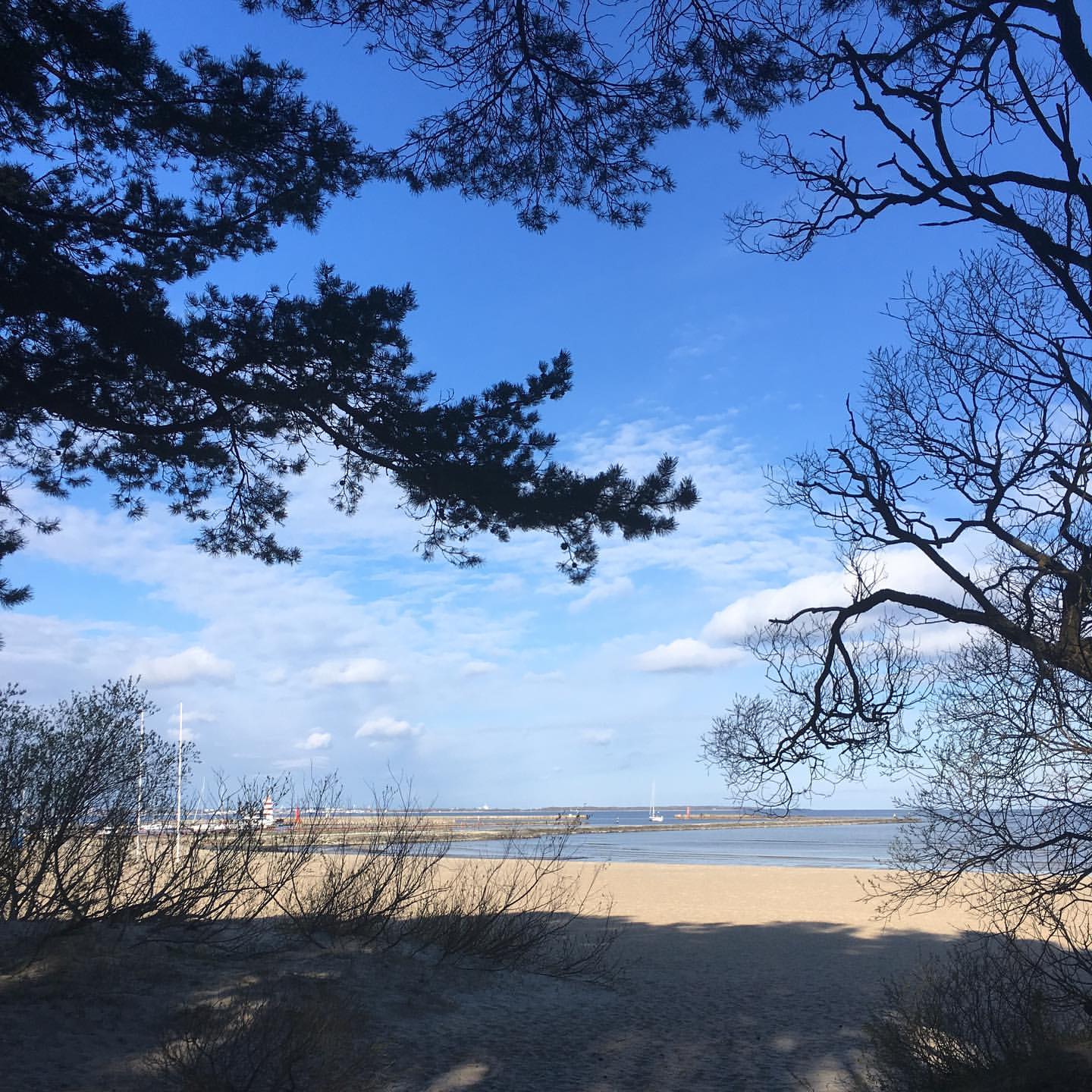 alisamoskow в LOOKY — фото 3