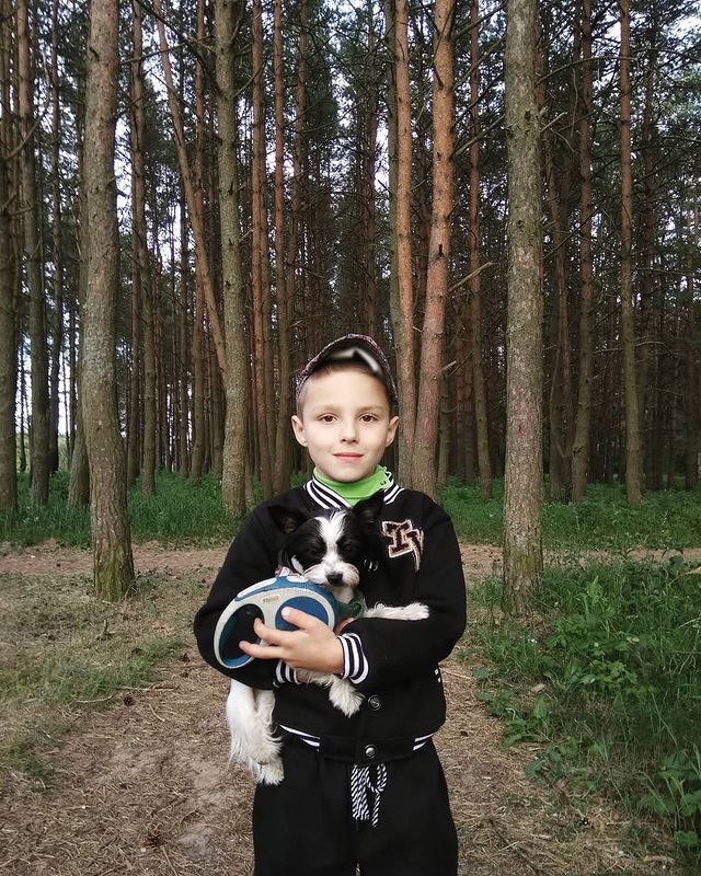 virgobarry в LOOKY. #forest,#mydog,#❤️. #forest #mydog #❤️