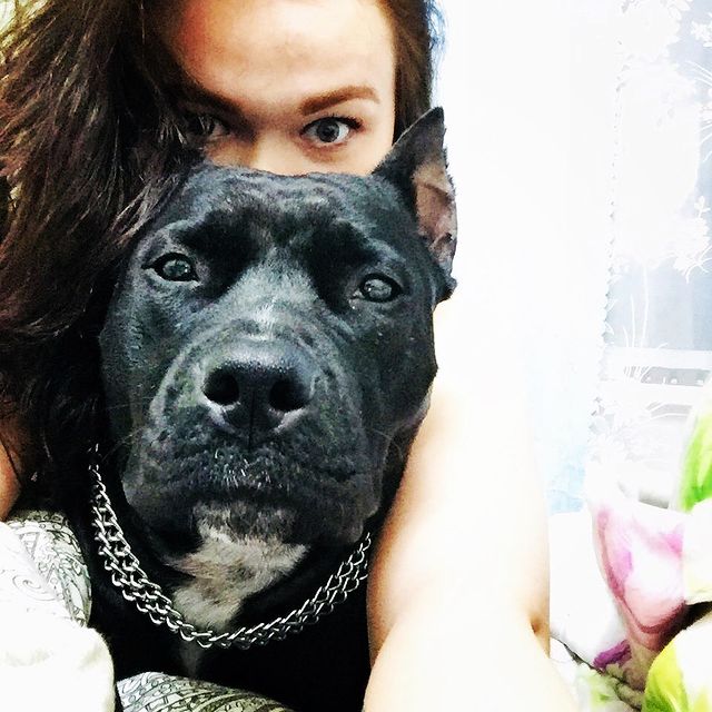 nika.matveeva.7 в LOOKY. . 🐕💋❤️