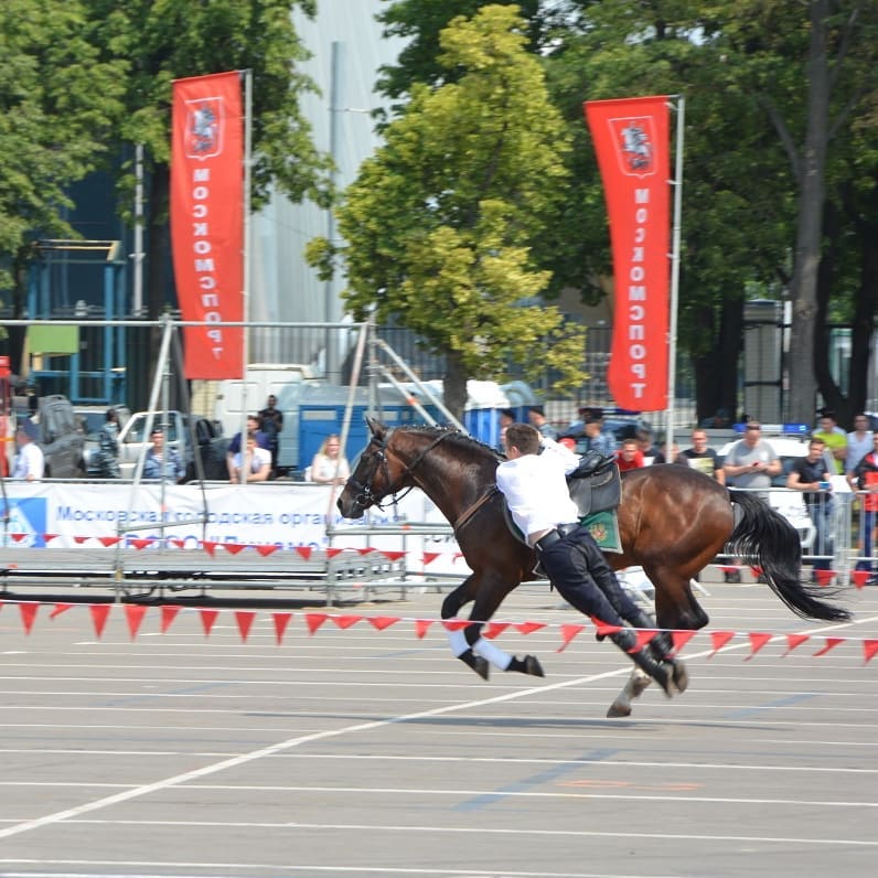 vanovin в LOOKY — фото 9