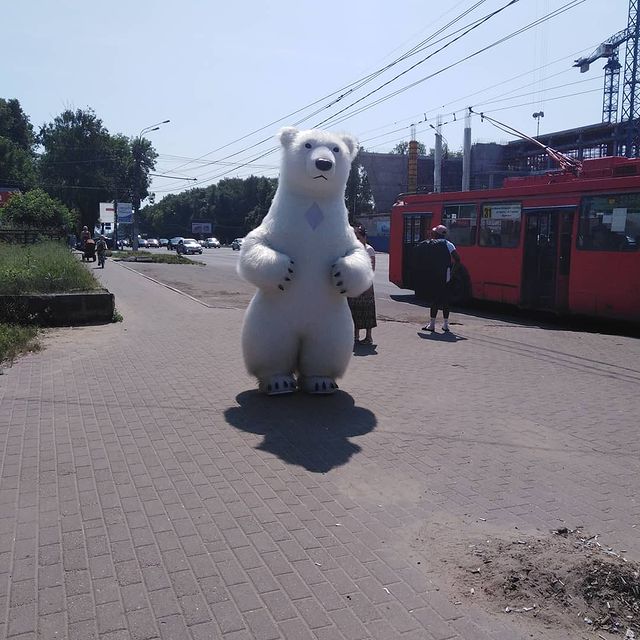 ni.kl.ta в LOOKY. . Кто медведя потерял,...
