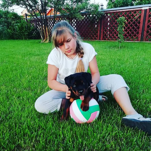 lopuhova_as в LOOKY. . @rottweilerloge пока...