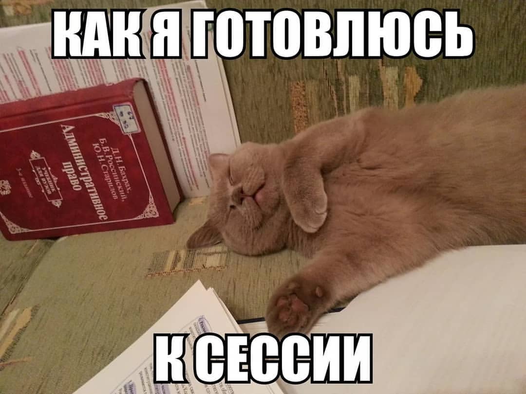 Подготовка к сегодняшнему зачёту по истории искусств идёт быстрым темпом)
#лето #летняясессия #сессия #НИД #nid #дизайн #графическийдизайн