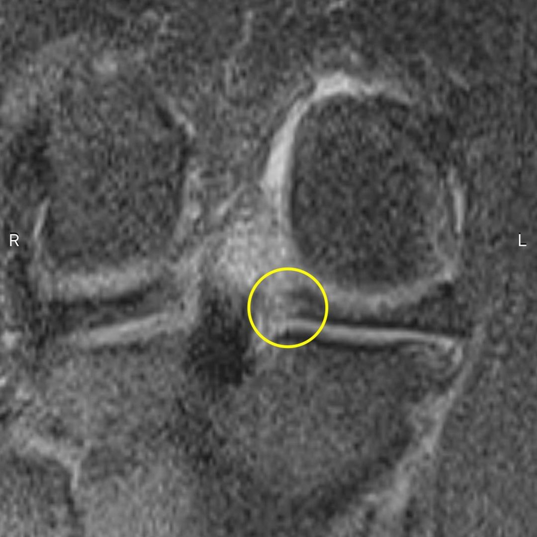 russianradiology в LOOKY — фото 2
