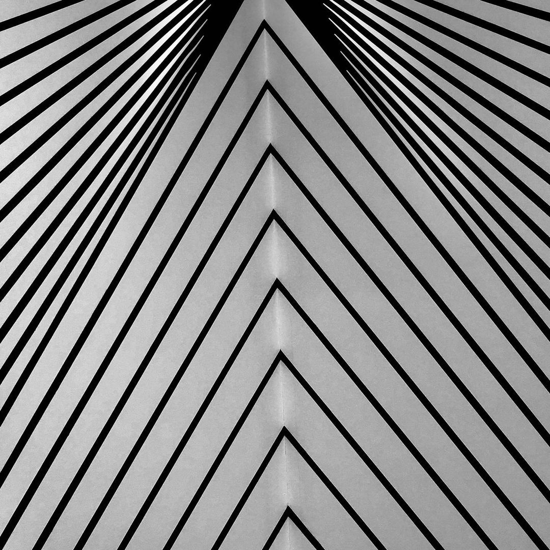 ercophotograph в LOOKY — фото 3