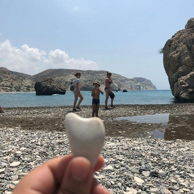 alena_hotuna1 в LOOKY. . По дороге в город Ли...