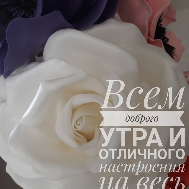 elia_iltinbaeva в LOOKY. . null