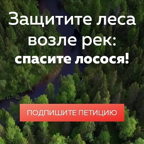 maeko_382 в LOOKY. #подпишипетицию,#спасилесароссии,#loveourplanet,#savesomeoneslife,#. Если хотите подписат...