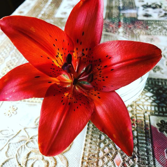 aptaro_11 в LOOKY. . В 5:30 утра Айгылаан...