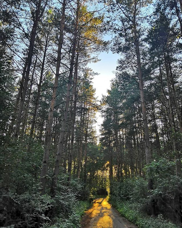 kris_tina_evan в LOOKY. . 🌄