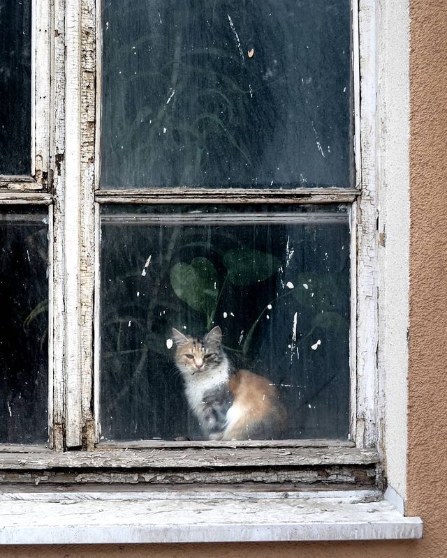 d.ignatiyev в LOOKY. #Klin. Глубины окон в лабир...