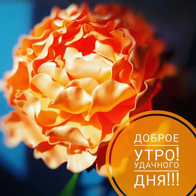 elia_iltinbaeva в LOOKY. . null
