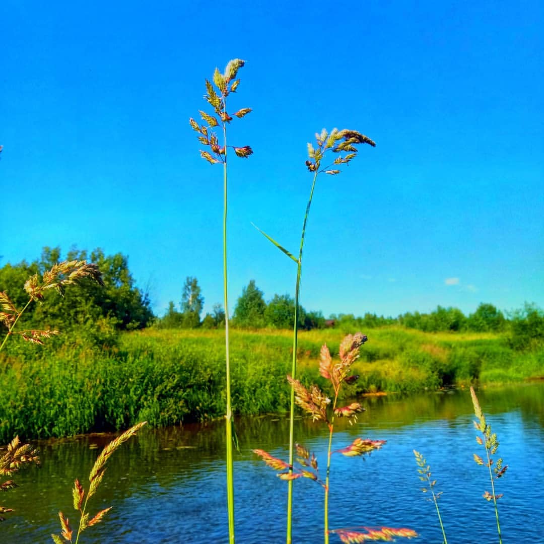 На берегу реки #суйда)))#красницы #красницымассив #станциякрасницы красницыигры с фильтрами)))